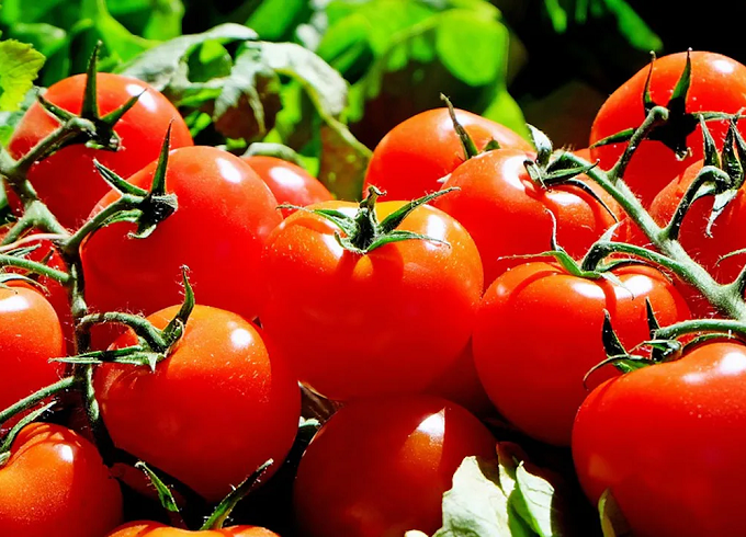 https://www.svz.com/news-and-blog/waste-not-want-not-upcycling-imperfect-fruit-and-vegetables/ thumbnail image
