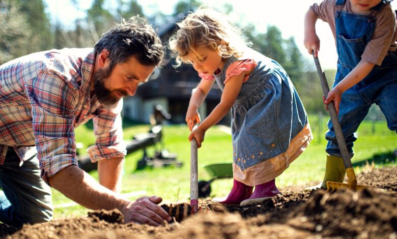Father's Day gardening gifts. A father in a plaid shirt checks the soil in a bed that his two children, a girl and a boy, are raking in a sunny garden.
